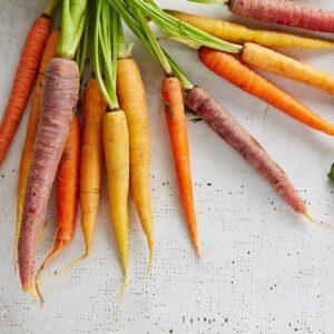 Freshly harvested organic carrots for use in our smoothies at Auraganic Juicery.