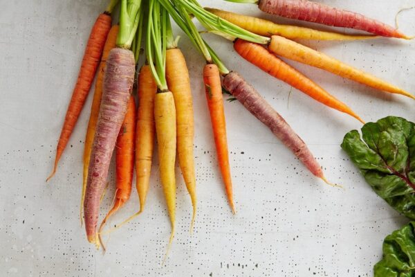 Freshly harvested organic carrots for use in our smoothies at Auraganic Juicery.