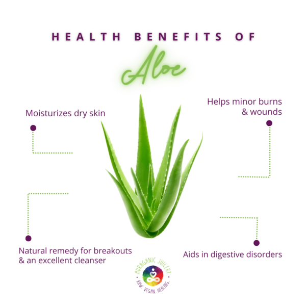 aloe