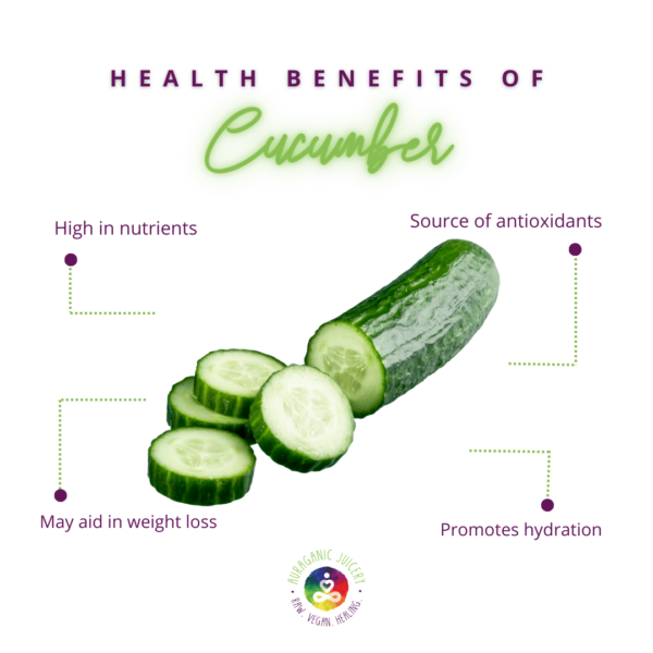 A slice of cucumber on a white plate. Infographic detailing how cucumber helps promote hydration, is high in nutrients, high in antioxidants, and may aid in weight loss.