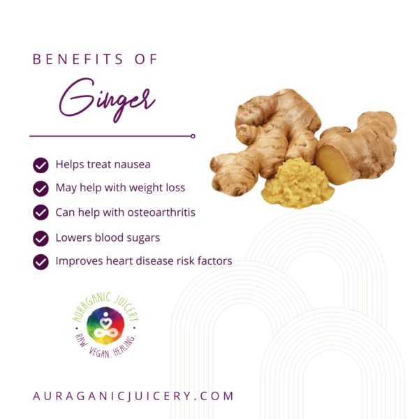 Ginger, a type of rhizome, with its characteristics and health benefits displayed.