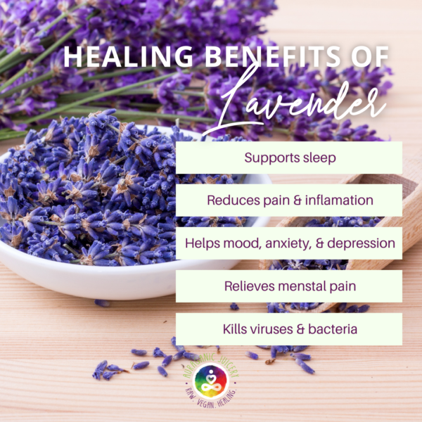 Discover the beauty of lavender! In this image, we see a stunning display of vibrant purple flowers, highlighting the plant's unique characteristics. This infographic displays the benefits of lavender.