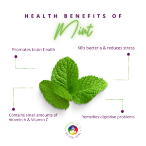 Mint leaf illustration in a circular shape, used as a brand logo