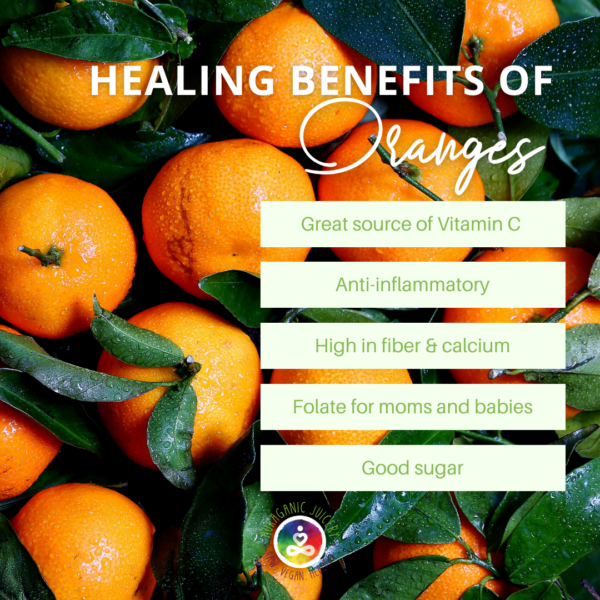 A basket of fresh organic oranges with vibrant orange color and green leaves