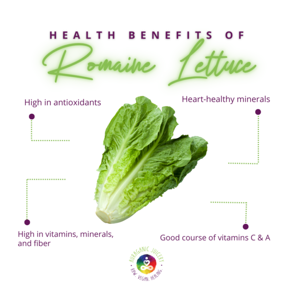 Romaine lettuce leaves with crisp, green color and slightly curly texture